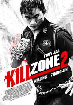 Kill Zone 2 (2015) full Movie Download free in hd