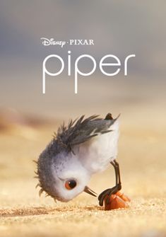 Piper (2016) full Movie Download free in HD