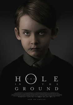 The Hole in the Ground (2019) full Movie Download free in hd