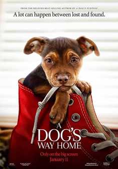 A Dog's Way Home (2019) full Movie Download free in hd