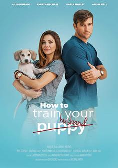 How to Train Your Husband (2018) full Movie Download Free Dual Audio HD