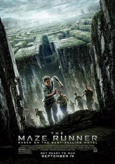 The Maze Runner (2014) full Movie Download Free Dual Audio HD