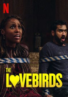 The Lovebirds (2020) full Movie Download Free in HD