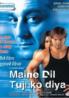 Maine Dil Tujhko Diya (2002) full Movie Download Free in HD