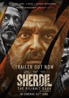 Sherdil (2022) full Movie Download Free in HD