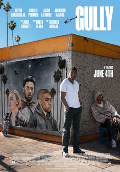 Gully (2019) full Movie Download Free in Dual Audio HD